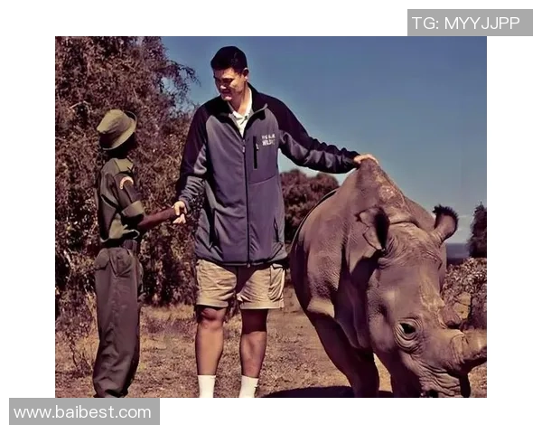 保护犀牛姚明携手共筑生态家园守护珍稀物种的未来