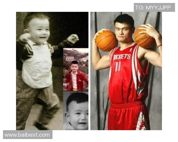 平视姚明下载体验：探索中国篮球巨星的成长与影响力